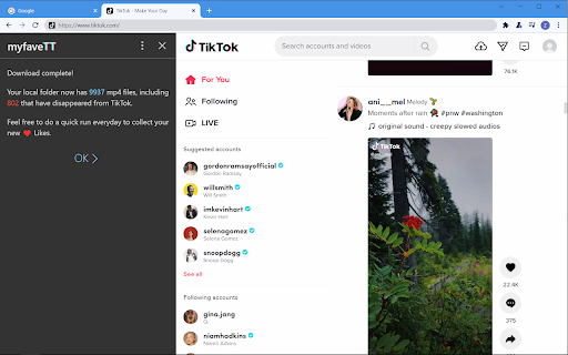 myfaveTT - download all TikToks you've loved