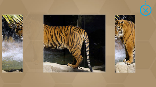 Animals for Kids - Flashcards, Puzzles  Sounds