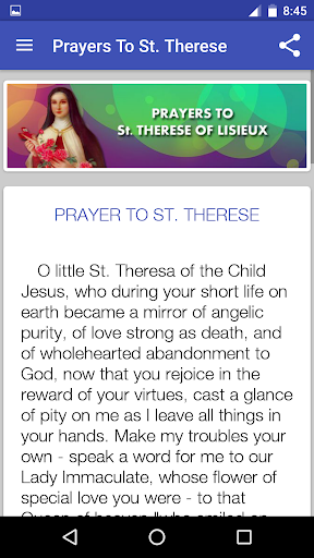 What Is The Little Flower Novena | Best Flower Site