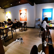 O CAT CAFÈ 貓咪咖啡廳