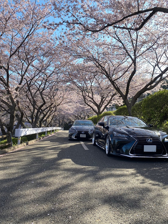 GSのサクラと愛車・桜とコラボ・桜とコラボ🌸・ピックアップチャレンジ・VOSSENに関するカスタム事例の投稿画像4枚目