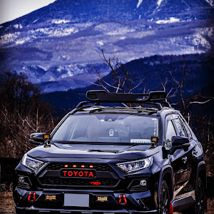 RAV4 MXAA54