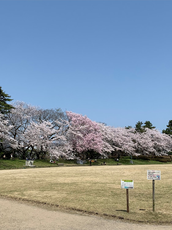 の投稿画像3枚目