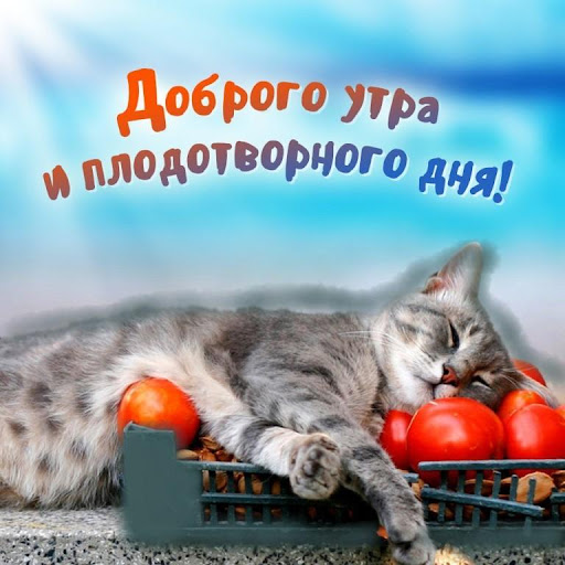 С добрым утром Открытки и Kартинки 2020