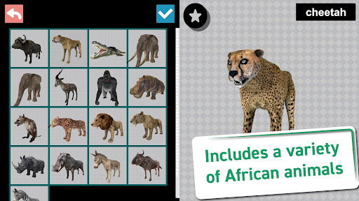 African Animals 3D