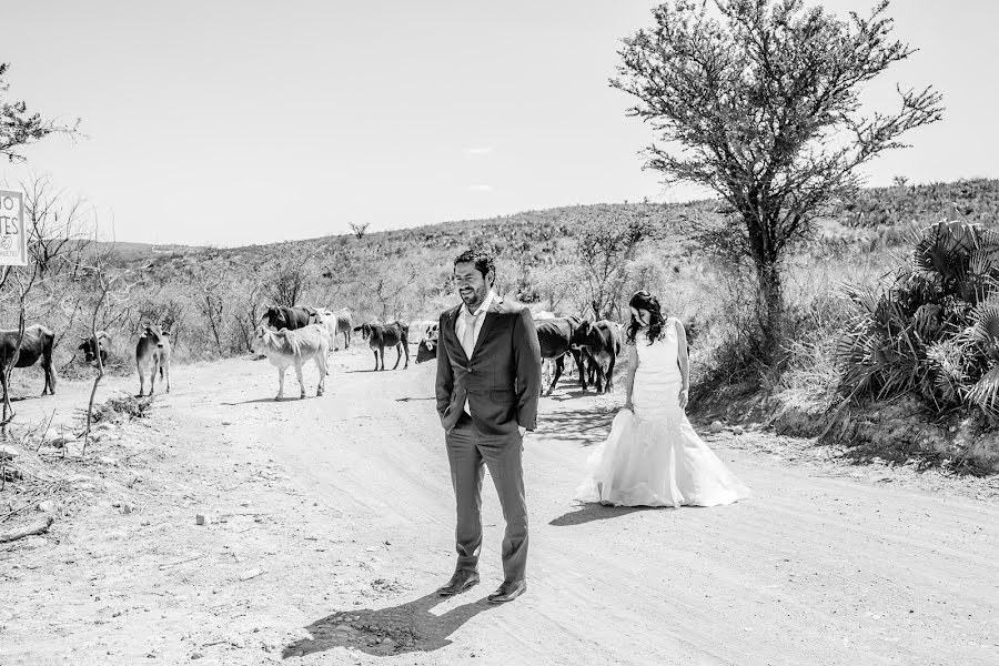 Fotógrafo de casamento Paulina Aramburo (aramburo). Foto de 3 de março 2017