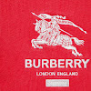 supreme®/burberry® rugby ss22