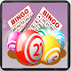 Download Bingo Lotto.Housey Tambola : Game of Chance Raffle For PC Windows and Mac bingo.lotto.housey.tambola.raffle.casino.lottery.ticket.party.offline.bash.igg.starlight.housie.lucky.chance.game.fever.lotto