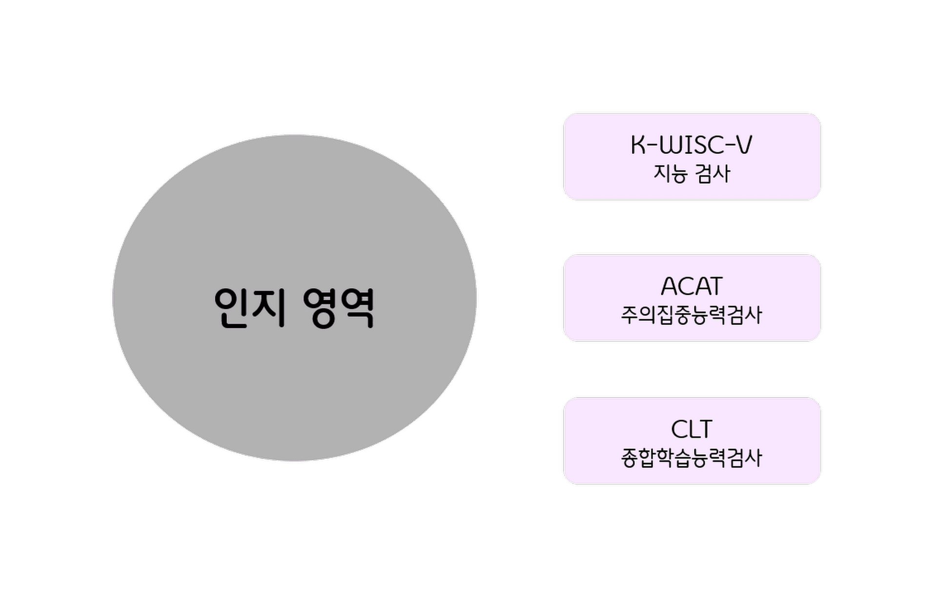 인지영역.png