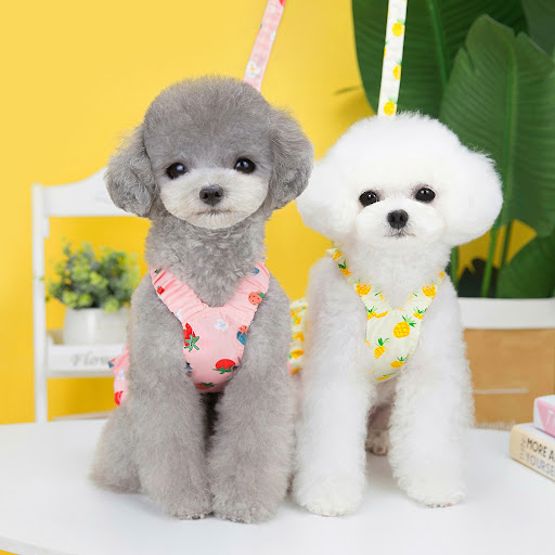 Title 4, Pet Clothes Dog Fruit Skirt With Rope. Provides...