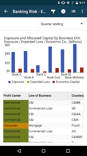 SAS® Mobile BI