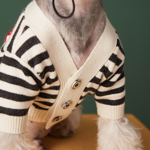 Title 6, Pet Small Dog Striped Sweater Cardigan, a cozy ...