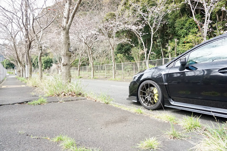 WRX STIの横須賀・桜・春めき桜・ドライブに関するカスタム事例の投稿画像4枚目