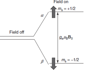 Electrons excitation process in ESR spectroscopy