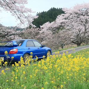 インプレッサ WRX GDA