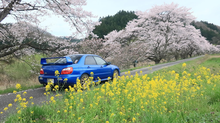 の投稿画像1枚目