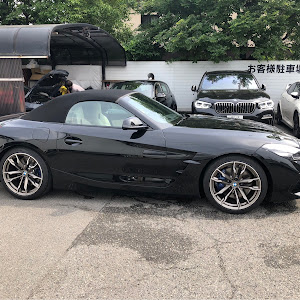 Z4 ロードスター G29