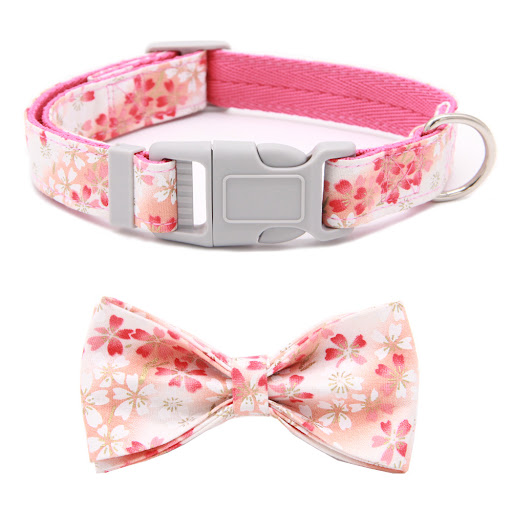 Title 6, Adjustable dog collar with floral bow, floral f...