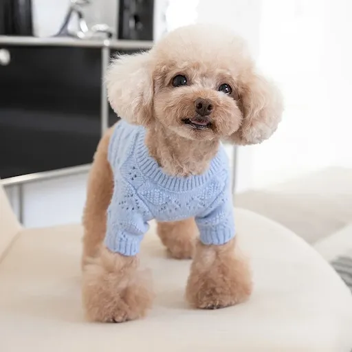 Autumn Winter Pet Knitted Cardigan Soft Cute Arctic Fleece Sweater Cardigan Pet Clothes Cat and Dog Clothing Teddy Bear 