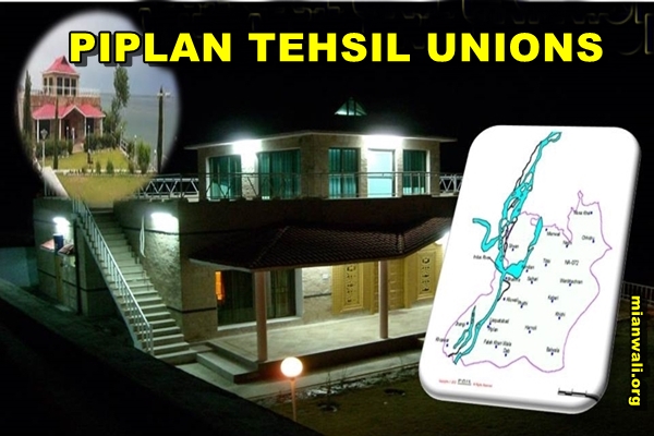 PIPLAN TEHSIL UNIONS