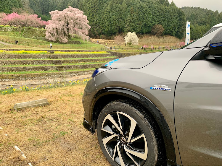 ヴェゼルの桜とコラボ・桜と愛車・桜・ドライブ・ヴェゼルRSに関するカスタム事例の投稿画像3枚目