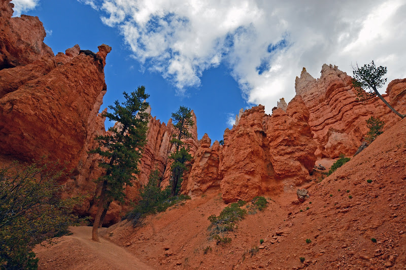 Orange Canyon di Capecchio