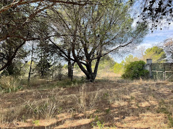 terrain à Mouriès (13)