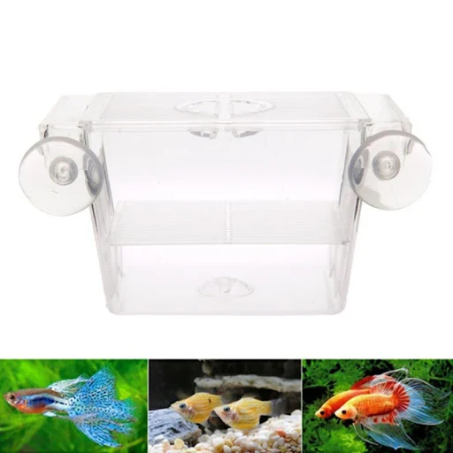 Aquarium Fish Breeding Breeder Box Baby Fish Hatchery Isolation Net Fish Tank Incubator Box Aquarium Accessory Supplies