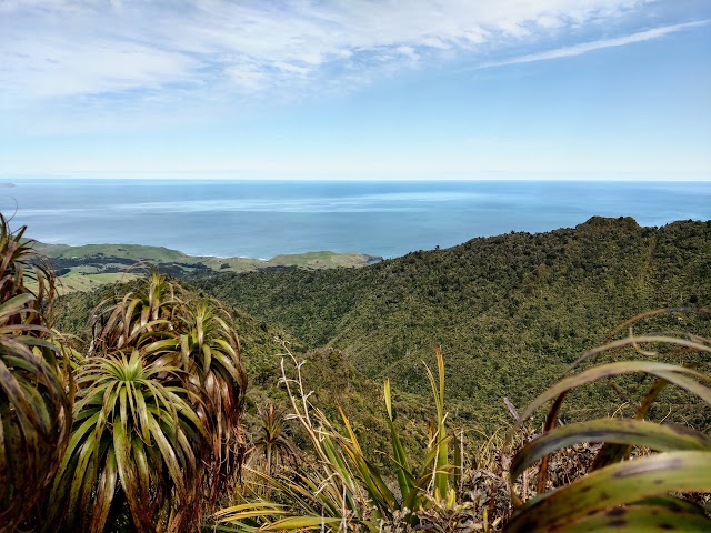 Karioi Lookout Point