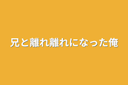 兄と離れ離れになった俺