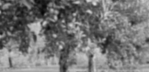 Ranks from Apple RSS feeds
