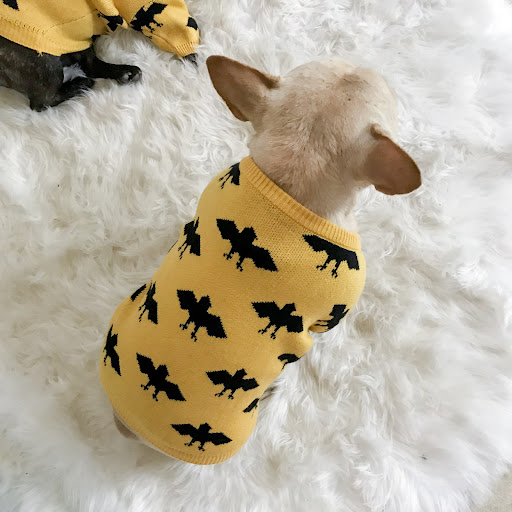 Title 4, Bat warm core-spun yarn pet sweater, a cozy and...