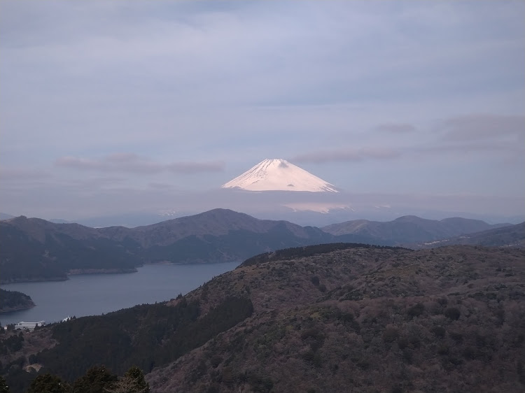 の投稿画像3枚目