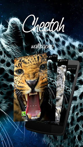 Cheetah Wallpapers