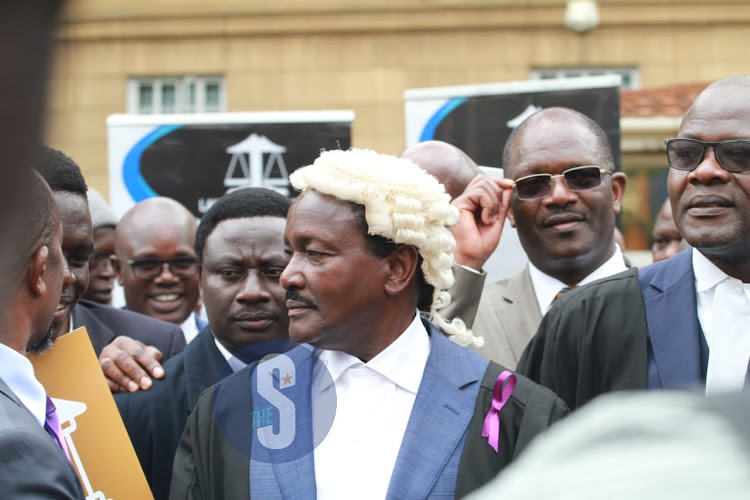 Wiper Party Leader Kalonzo Musyoka outisde the Supreme Court of Kenya, Nairobi on January 12, 2024.