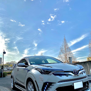 C-HR ZYX10