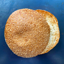 Sourdough Bun