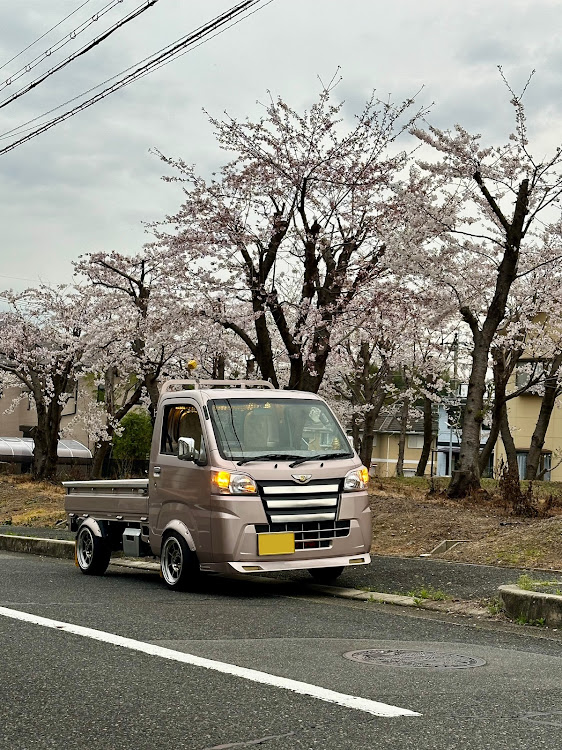 の投稿画像3枚目