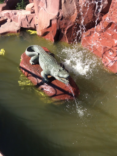 Crocodile Fountain 