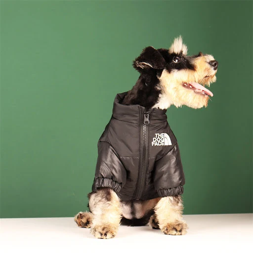 Warm Windproof French Small Medium Dog Reflective Coat Chihuahua Pet Outfits Jacket Large Winter Pet Dog Clothes Bulldog