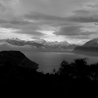 svizzera B&W di 