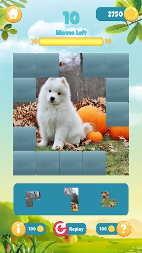 Pieces Match - Puzzle Game