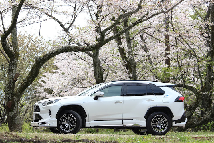 RAV4のRAV4乗りさんと繋がりたいに関するカスタム事例の投稿画像9枚目