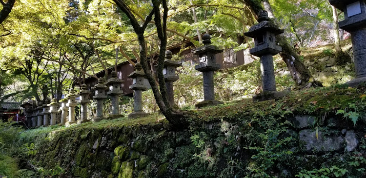 ゴルフGTIの談山神社・紅葉コラボ・公開制限中・紅葉・ハンター‍だらけ＼＼\\ꐕ ꐕ ꐕ//／／に関するカスタム事例の投稿画像4枚目