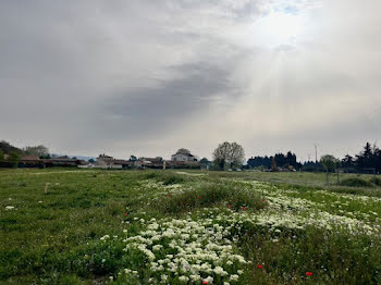 terrain à Monteux (84)