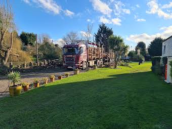 Big conifer hedge removal finished all timber going off to biomas album cover