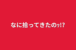 なに拾ってきたのｯ!?