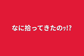 なに拾ってきたのｯ!?