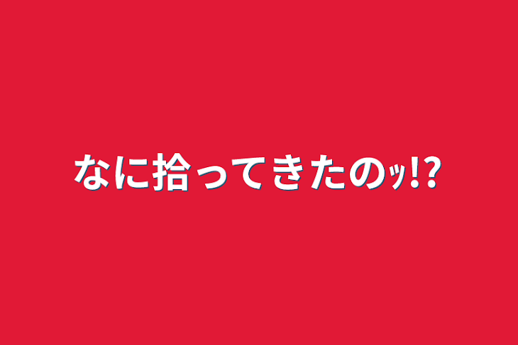 「なに拾ってきたのｯ!?」のメインビジュアル