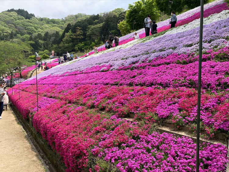 の投稿画像4枚目